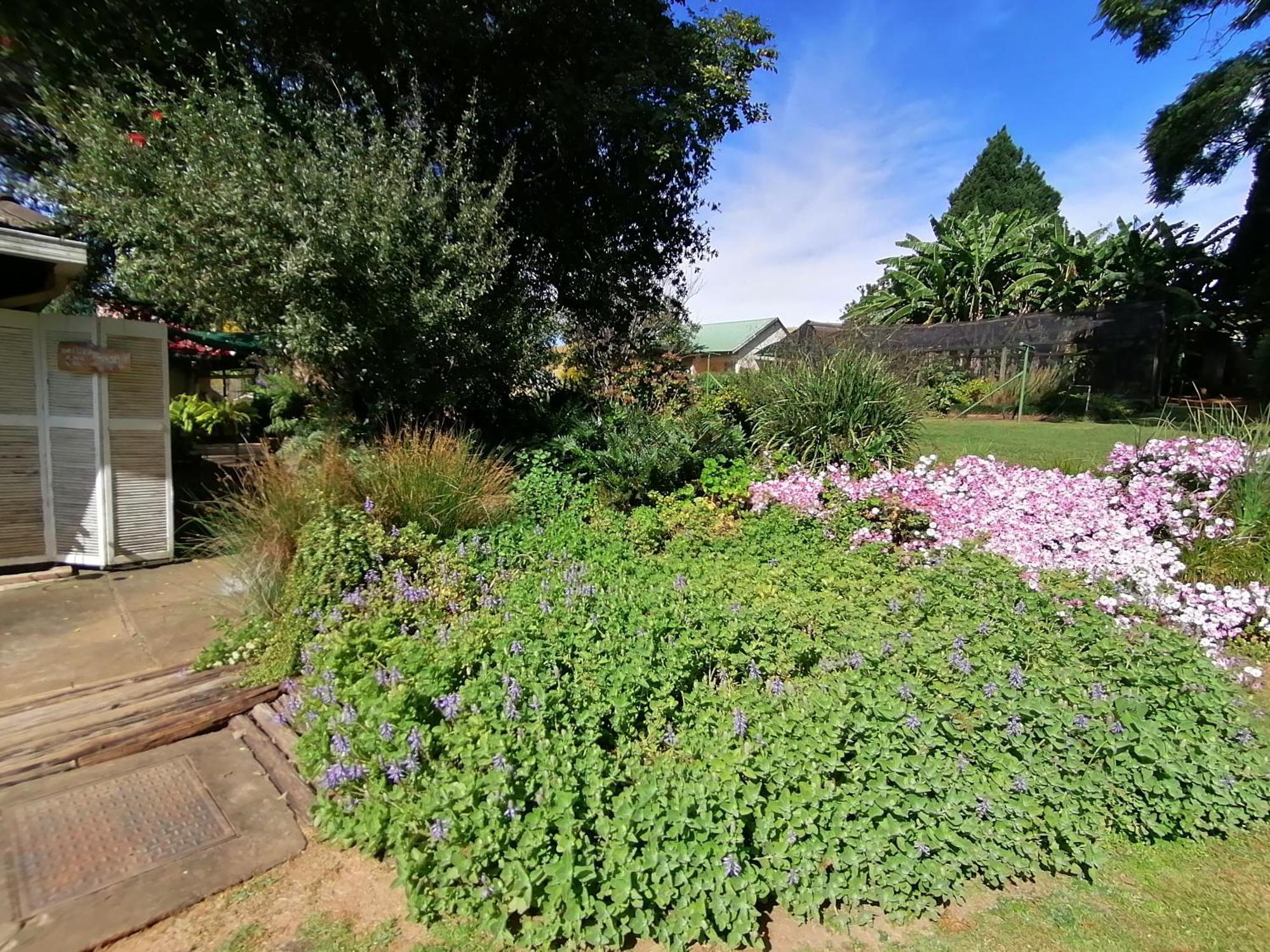 Bell Park Self Catering Bed and Breakfast Champagne Valley Exteriör bild